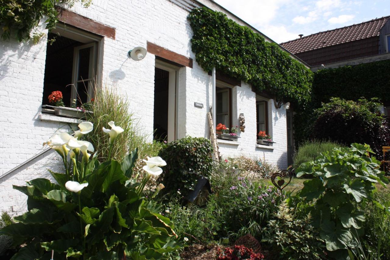 L'Atterrissage Bed and Breakfast Santes Εξωτερικό φωτογραφία